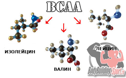 BCAA структура