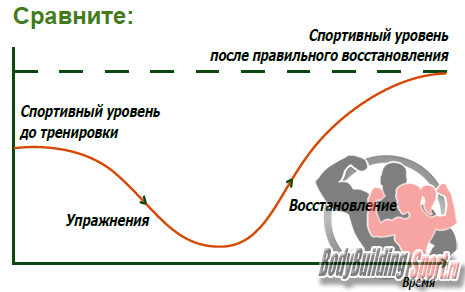 Основные принципы восстановления организма