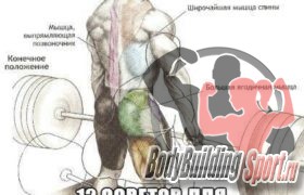 12 советов для повышения результатов в становой тяге