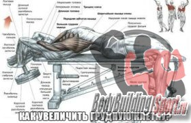 Как увеличить грудную клетку?