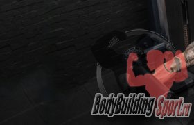 Силовые тренажеры для фитнес-клуба