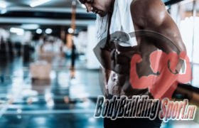 Интересные факты о мышцах